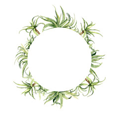 Watercolor aloe vera circle frame.