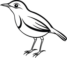 Obraz premium Hand drowing for kids coloring page vector illustration