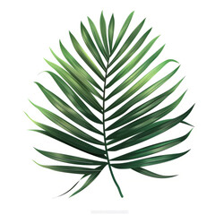 A single, elegant palm leaf placed centrally on a white background, with subtle shadows to add depth.