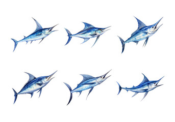 Obraz premium Cute watercolor painting style illustration of Blue Marlin, isolated on white background