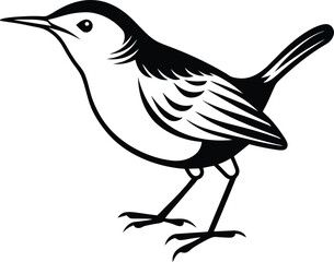 Cute Bird for kids coloring page vector illustration