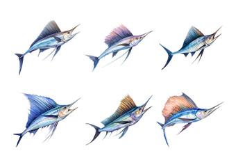 Obraz premium Cute watercolor painting style illustration of Sailfish, isolated on white background