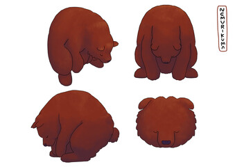 謝っているように見える睡眠中のくま