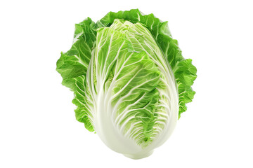 Chines cabbage isolated on transparent background