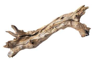 Fototapeta premium Driftwood dream minimalistic isolated on transparent background