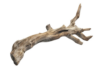 Fototapeta premium Driftwood dream minimalistic isolated on transparent background