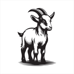 goat vector, illustration