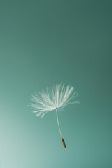 A single white dandelion is gently blown by the wind, its delicate stem and feathery seeds carried away on the breeze