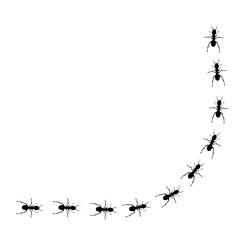 line of black ants hand drawn vector 