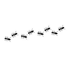 line of black ants hand drawn vector 