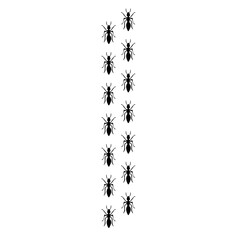 line of black ants hand drawn vector 