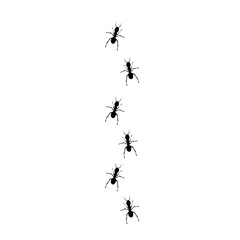 line of black ants hand drawn vector 