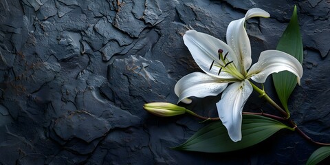 Dark stone background with lily funeral flower space for condolence message. Concept Funeral Flower Arrangements, Condolence Messages, Lily Flower Tribute, Dark Stone Background