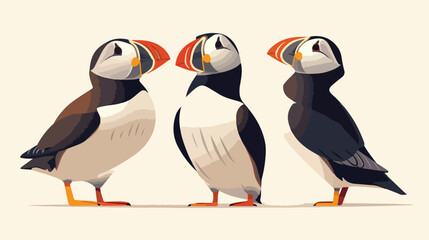 Puffins bird clipart isolated vector illustration.