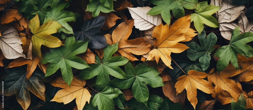 Poster small branches were combined into a pile leaves. creative banner. copyspace image