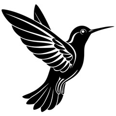 illustration of a Hummingbird