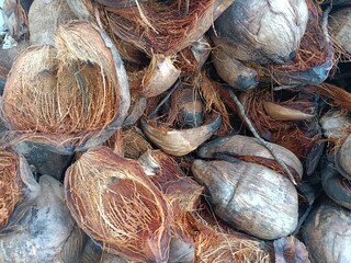 Coir, also called coconut fibre, is a natural fibre extracted from the outer husk of coconut, and...