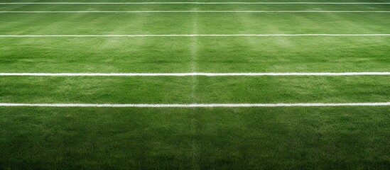 Obraz premium Football field with white line. Creative banner. Copyspace image