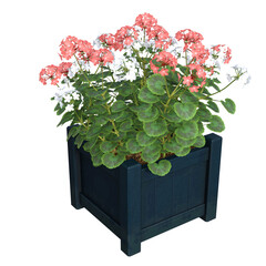 Realistic 3D illustration of pink and white Geraniums / Cranesbills in a wood planter. Image 3 of series
