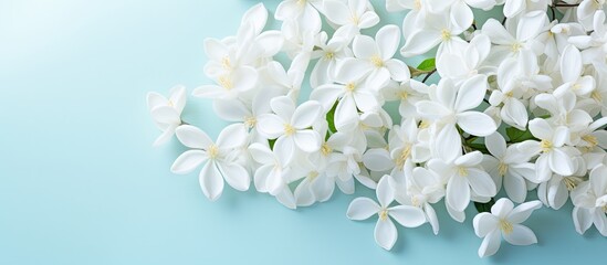 Closeup of white jasmine flowers. Creative banner. Copyspace image