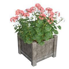 Realistic 3D illustration of pink and white Geraniums / Cranesbills in a wood planter. Image 2 of series
