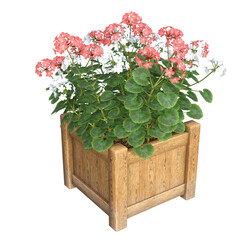 Realistic 3D illustration of pink and white Geraniums / Cranesbills in a wood planter. Image 1 of series