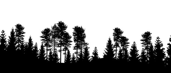 Seamless forest landscape with coniferous trees in black silhouettes on transparent background © Jan