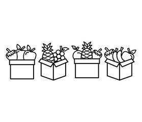 fruit in package box icons vector design simple line black white color illustration collection sets