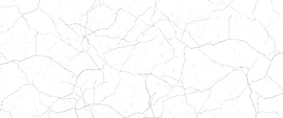 Vector grunge cracked texture Transparent background.