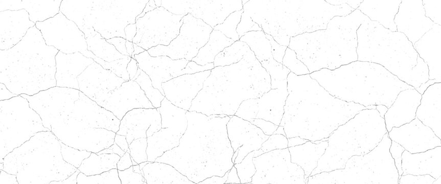 Vector grunge cracked texture Transparent background.