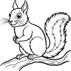 Squirrel coloring pages for kids