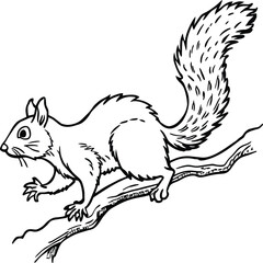 Squirrel coloring pages for kids