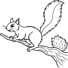 Squirrel coloring pages for kids