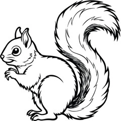 Squirrel coloring pages for kids