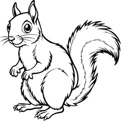 Obraz premium Squirrel coloring pages for kids