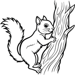 Squirrel coloring pages for kids
