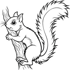 Squirrel coloring pages for kids
