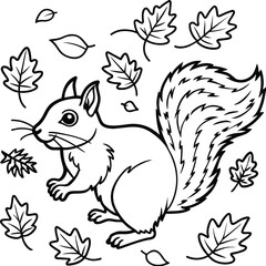 Squirrel coloring pages for kids