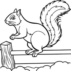 Squirrel coloring pages for kids