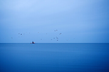 A fishing boat on the horizon and a flock of seagulls against the background of a blue calm sea and sky on a summer evening