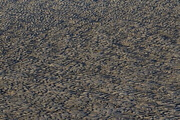 Detalle de arena negra en la playa de Qurum en Muscat, Sultanato de Omán