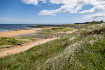 beach scenes