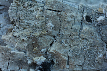 Macro photography of freshly used charcoal.