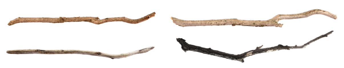 Many dry tree branches isolated on white, set