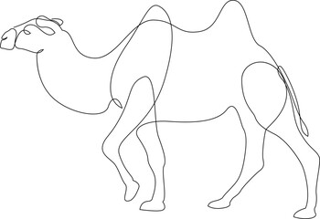 Obraz premium Continuous line drawing of camel. One line of arabian camel animal. Vector illustration.