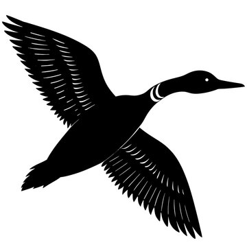 recommend clip art: flying loon black silhouette on white illustration