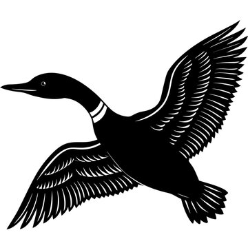 recommend clip art: flying loon black silhouette on white illustration
