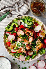 Pulled salmon spring  vegetables salad. .top veiw.selective focus