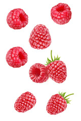 Falling raspberry fruits on transparent backgroud