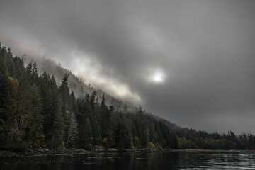 Misty forest with intruding sunlight over the sea